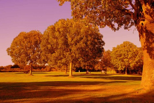Henri-Chapelle Platz Viviers