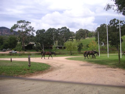 Blue Mountains, Australien