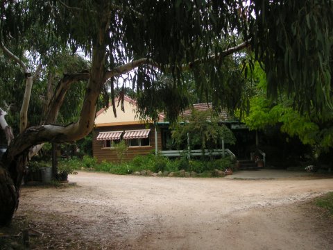Blue Mountains, Australien