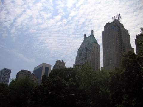 Central Park, New York