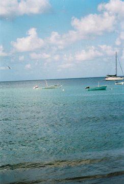 Tobago Charlotteville