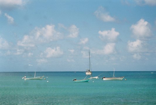 Tobago Charlotteville