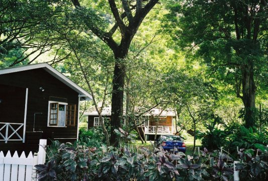 Tobago Charlotteville