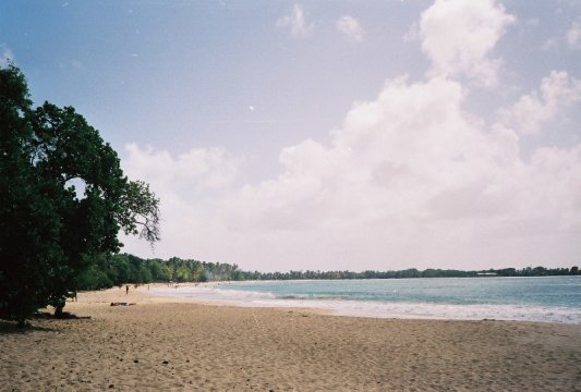 Tobago Charlotteville