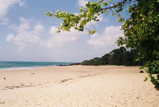 Tobago Charlotteville