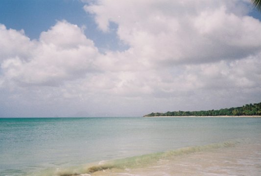 Tobago Charlotteville