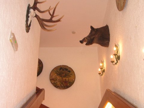 Golf- & Countryclub Schloss Fuschl