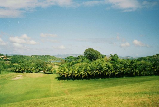 Golf de la Martinique