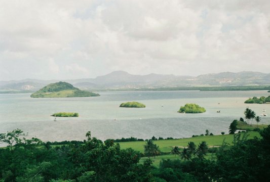 Golf de la Martinique