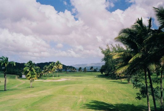 Golf de la Martinique