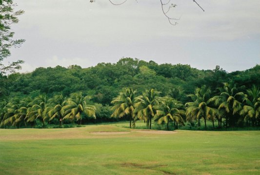 Golf de la Martinique