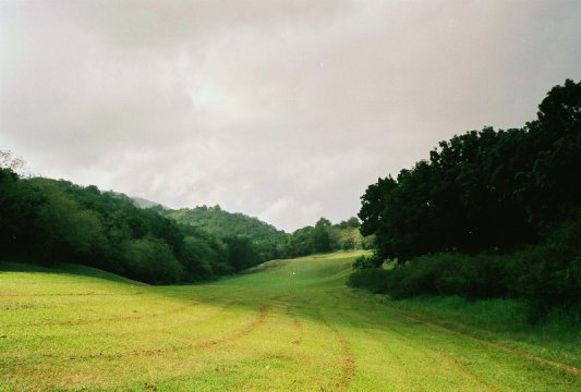 Golf de la Martinique