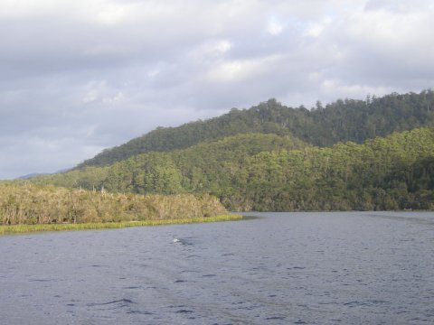 Gordon River, Tasmanien, Australien