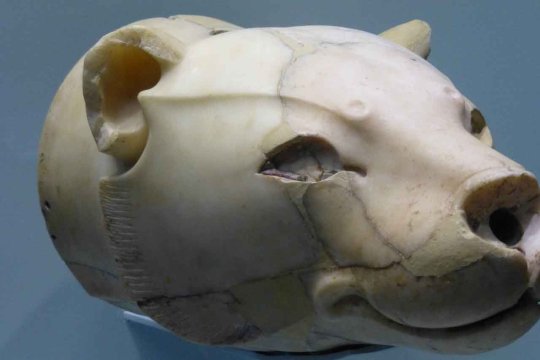 Heraklion - Archäologisches Museum Teil III