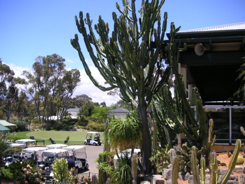 Golf Club Joondalup, West-Australien