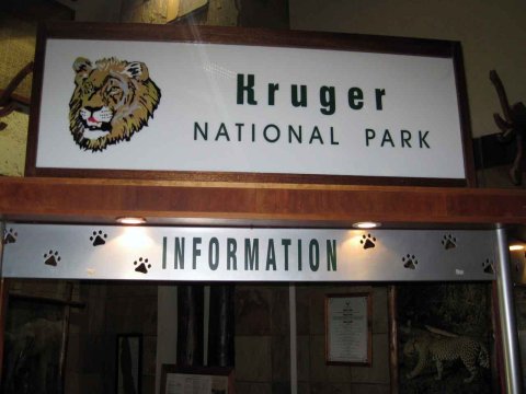 Krüger National Park in Mpumalango Südafrika