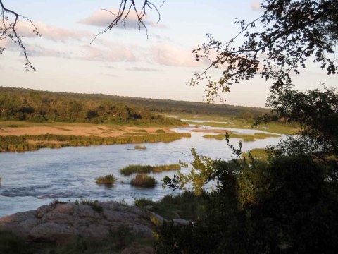 Krüger National Park in Mpumalango Südafrika