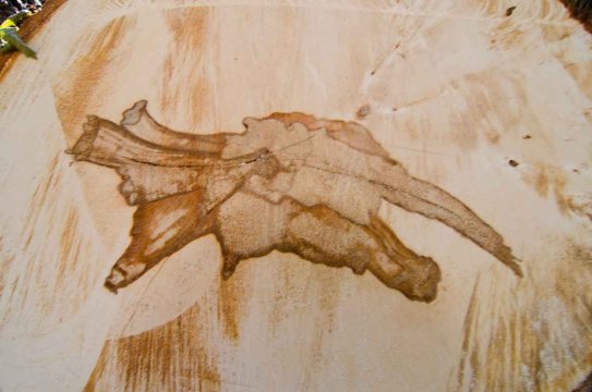 Mario Feigel - Sculptures