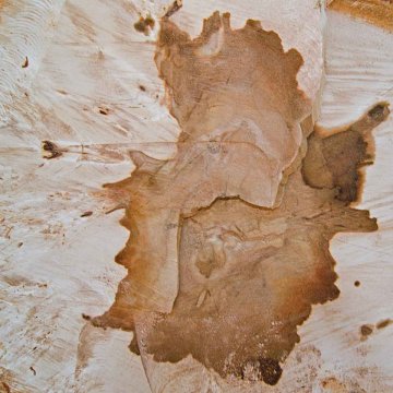 feigel-sculturals-15