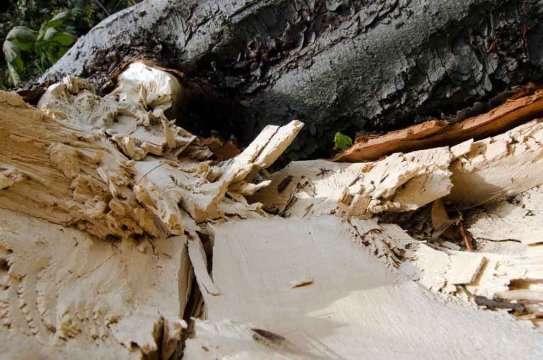 Mario Feigel - Sculptures