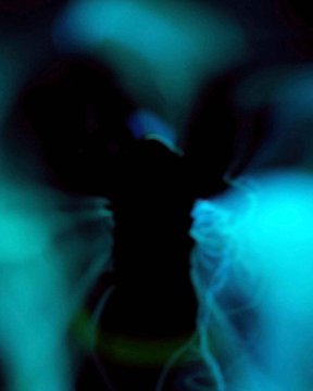 Mathias Lanfer: Fotografische Arbeiten