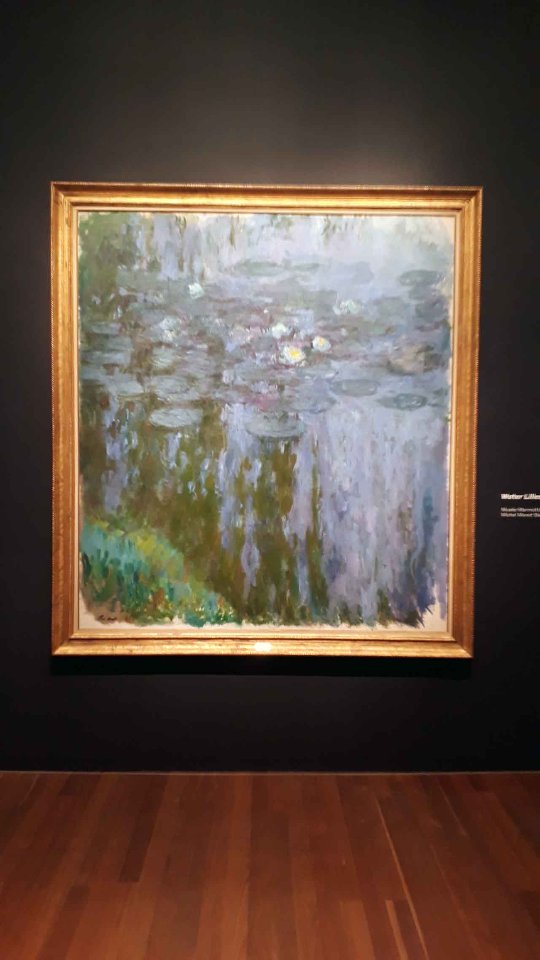Claude Monet im de Young Museum in San Francisco 