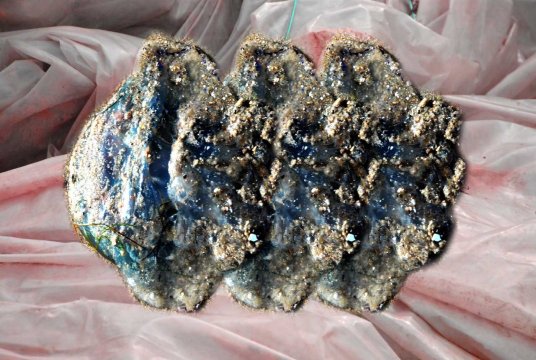 Monika M. Seibel Fotografie