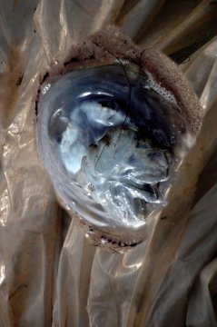 Monika M. Seibel Fotografie