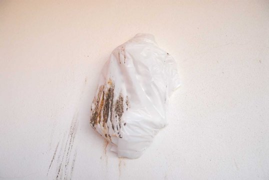 Monika M. Seibel Fotografie