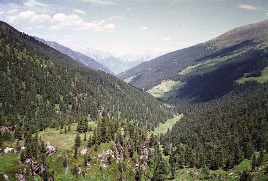 München-Vendig. Zu Fuß über die Alpen.