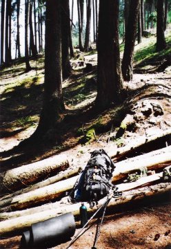 München-Venedig. Zu Fuß über die Alpen.