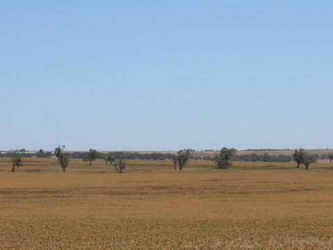 Murray River, Süd-Australien