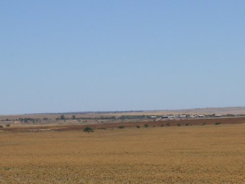 Murray River, Süd-Australien