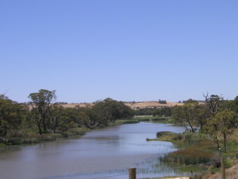 Murray River, Süd-Australien