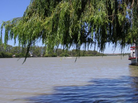 Murray River, Süd-Australien