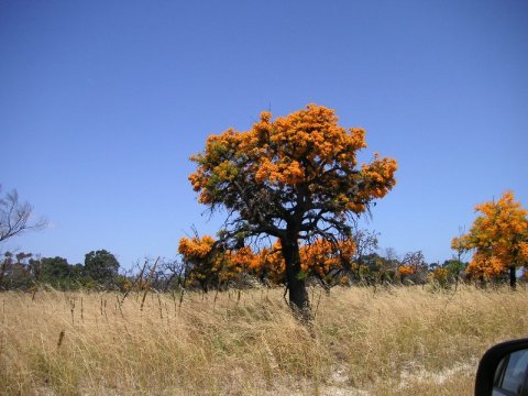 Nationalpark Le Grand in Australien