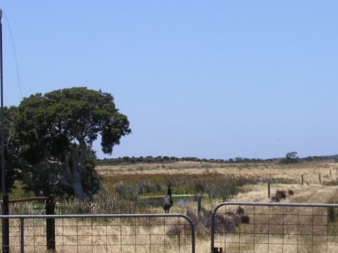 Nationalpark Le Grand in Australien