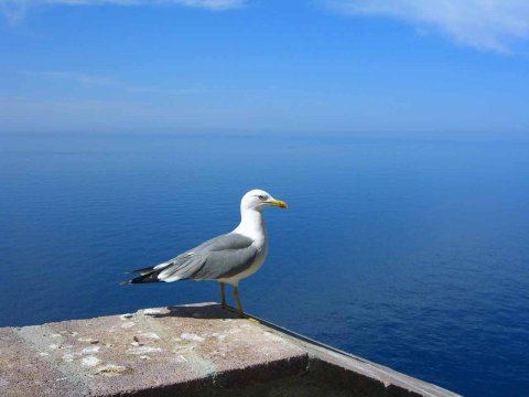 Sardinien - Küsten und Strände