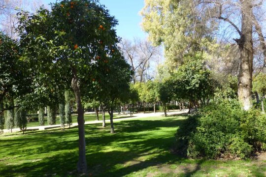 Sevilla - Plaza de Espagna