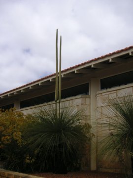 The Vines Golf Club, West-Australien