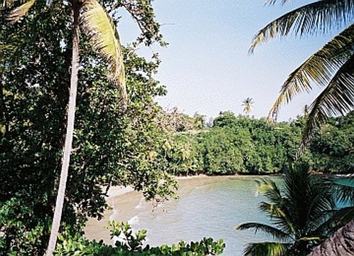 Tobago: Das Land