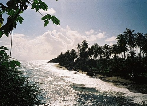 Tobago: Das Land