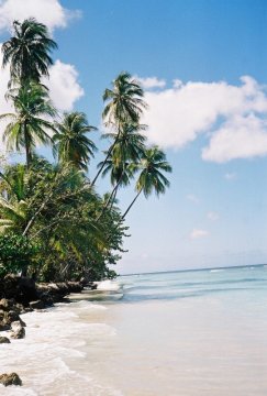 Tobago: Pigeon Point
