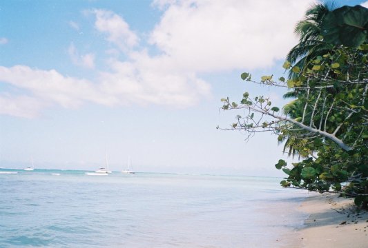 Tobago: Pigeon Point