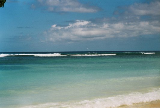 Tobago: Pigeon Point