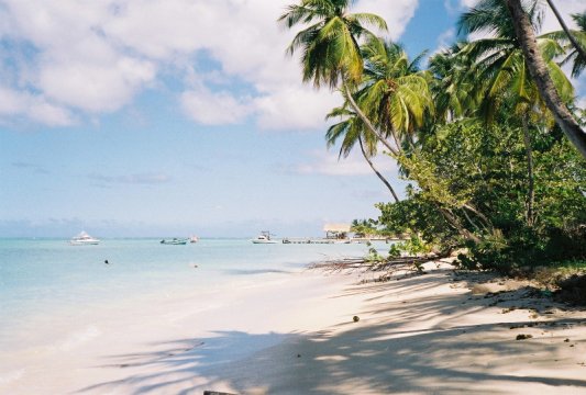 Tobago: Pigeon Point