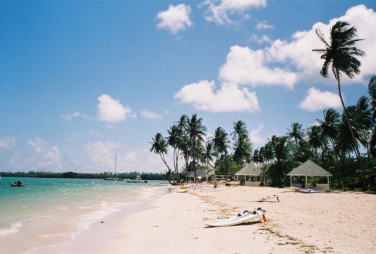 Tobago: Pigeon Point