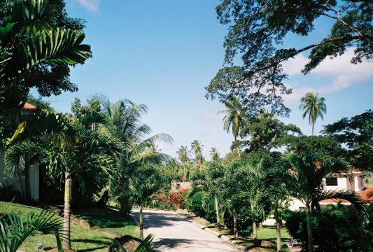 Tobago: Der Süden