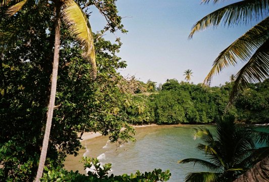 Tobago: Der Westen