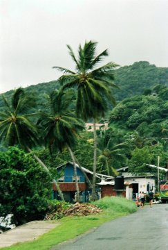 Tobago: Der Westen
